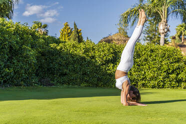 Woman practicing yoga on lawn in sunshine doing a forearm stand - DLTSF00659