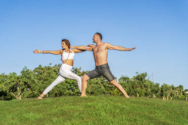 Älteres Paar macht Yoga auf dem Rasen in der Sonne zusammen - DLTSF00670