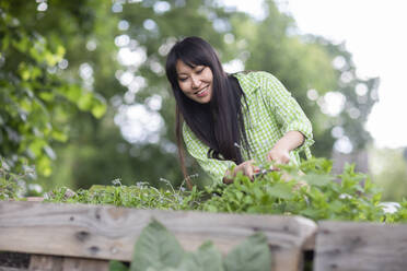 Frau hackt Pflanzen im städtischen Garten - SGF02626