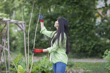Woman looking on twigs in urban garden - SGF02627