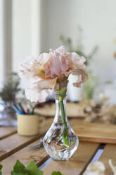 Spanien, Rosa blühende Blumen in Glasvase - AFVF06242