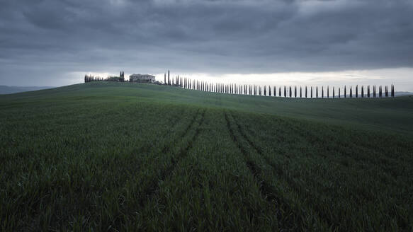 Italy, Tuscany, Storm clouds over green grassy meadow with line of cypress trees in background - RPSF00303