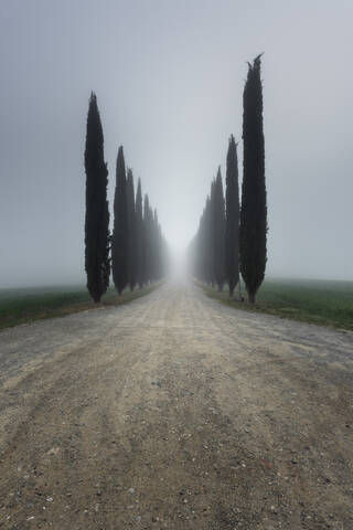 Italien, Toskana, Zypressenreihen entlang einer leeren Landstraße bei nebligem Wetter, lizenzfreies Stockfoto