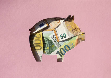 Pig shaped hole filled with Euro banknotes - MOMF00867