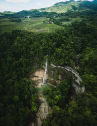 Luftaufnahme des von Bäumen umgebenen Can-umantad-Wasserfalls, Candijay, Bohol, Philippinen - AAEF08451