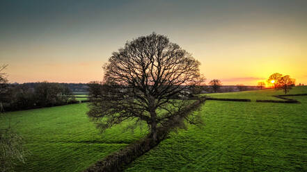 Luftaufnahme der Landschaft von Dorset mit Baum und Sonnenuntergang, Großbritannien - AAEF08489