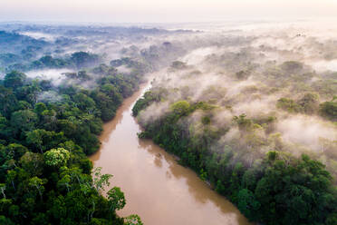 Luftaufnahme des Cononaco-Flusses im Yasuni-Nationalpark, Amazonien, Ecuador. - AAEF08496