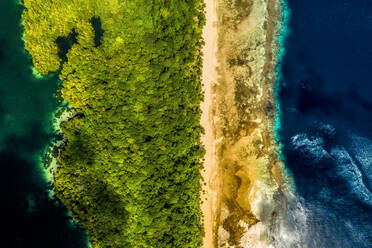 Luftaufnahme der Küste der Insel Kakaban, Indonesien: Der See auf der linken Seite ist ein Teil des Brackwassersees in der Mitte des Atolls, während das Wasser auf der rechten Seite das Celebes-Meer ist. - AAEF08507