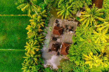 Luftaufnahme des traditionellen Hindu-Tempels in den Reisfeldern von Penarungan, Bali. - AAEF08520