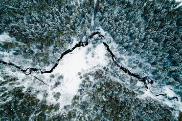 Luftaufnahme des Quellflusses Brazuole im litauischen Wald im Winter. - AAEF08552