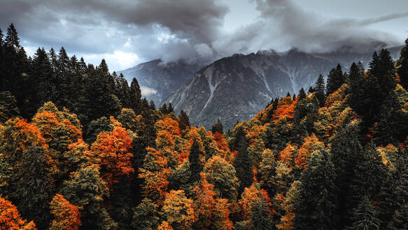 Luftaufnahme einer Herbstlandschaft am Klausenpass, Schweiz - AAEF08588