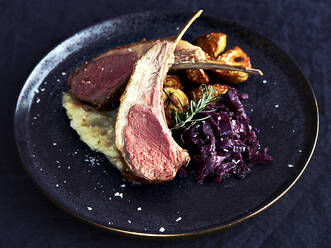 Plate of food with lamb chop, red cabbage and roast potatoes. - CUF55017