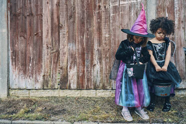 Zwei für Halloween verkleidete Mädchen stehen an einem Gartenzaun und schauen in ihre Eimer mit Süßigkeiten. - CUF55024