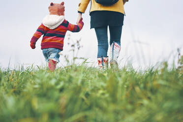 Rear view of a woman and child walking away from the camera in a field. - CUF55050