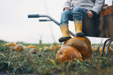 Die Füße und Beine eines Kindes, das auf einer Schubkarre mit Füßen auf einem Kürbis sitzt. - CUF55065