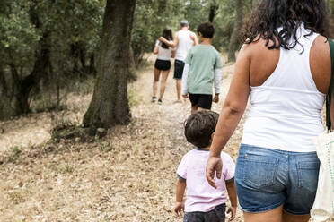 Rückansicht einer Familie mit drei Kindern auf einem Waldweg. - CUF55074