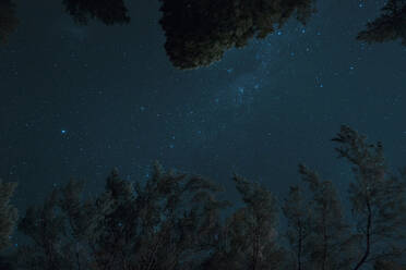 Bild der Sterne am Nachthimmel. - ISF24121
