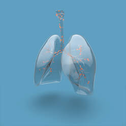 Illustration of human lungs and bronchial tree highlighted, on blue background - ISF24140