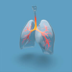 Illustration of human lungs and bronchial tree highlighted, on blue background - ISF24145