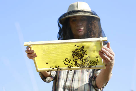 Niedriger Blickwinkel von Imkerin hält Bienenstock gegen blauen Himmel, lizenzfreies Stockfoto