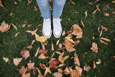 Low section of teenage girl standing by dried autumn leaves on grass at park - GRCF00224