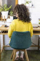 Rear view of woman working at desk in home office - ERRF03770