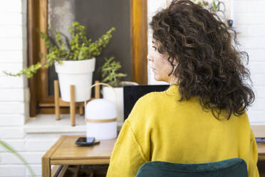 Rear view of woman working at desk in home office - ERRF03771