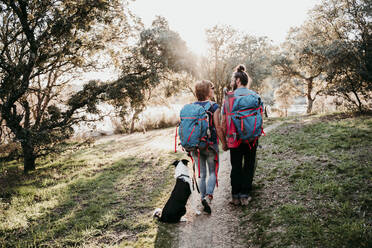 Couple with dog on a hiking trip - EBBF00030