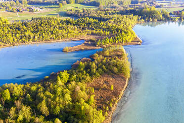 Deutschland, Bayern, Inning am Ammersee, Drohnenansicht des bewaldeten Ufers der Insel Worth - SIEF09840