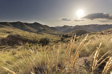 Landschaft in La Font del Llop von Monforte del Cid. - CAVF80854