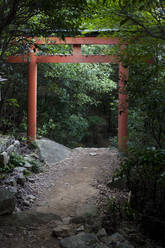 Torii gate in the woods, Miyajima Island, Hiroshima, Japan - CAVF80970
