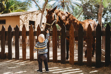 Kind berührt ein Pferd hinter dem Zaun an einem sonnigen Tag - CAVF81004