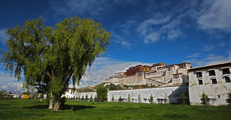 Der Potala-Palast in Lhasa / Tibet - CAVF81029