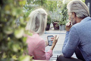 Rückansicht eines Paares, das in einem Garten sitzt und auf ein Mobiltelefon schaut. - CUF55173
