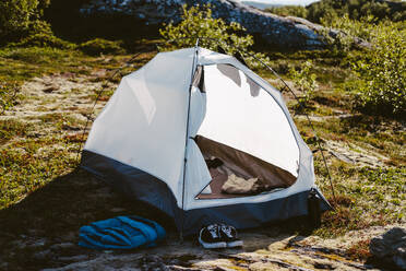 Campingzelt und Schuhe auf einem sonnigen Campingplatz - CAVF81063