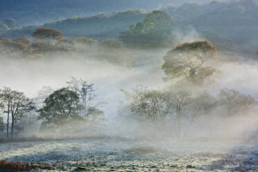 Morning mist in North Wales - CAVF81291