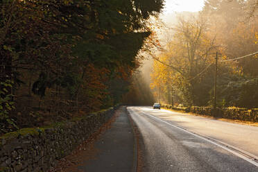 Road in North Wales in the early morning - CAVF81292