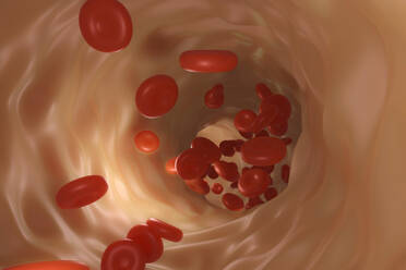 3D gerenderte Illustration roter Blutkörperchen im Blutkreislauf - SPCF00664