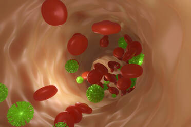 3D-Darstellung von roten Blutkörperchen und Coronavirus im Blutkreislauf - SPCF00665