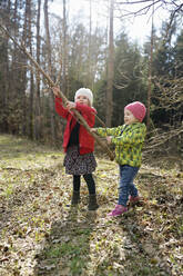 Two little sisters playing with branch in forest - BRF01444