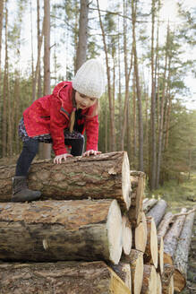 Kleines Mädchen klettert auf einen Holzstapel im Wald - BRF01461