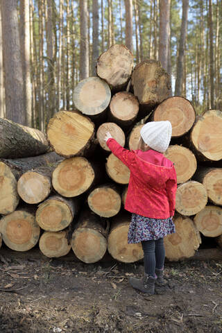 Rückenansicht eines kleinen Mädchens, das vor einem Holzstapel im Wald steht, lizenzfreies Stockfoto