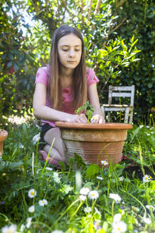 Porträt eines Mädchens, das eine Tomatenpflanze in einem Garten eintopft - SARF04584