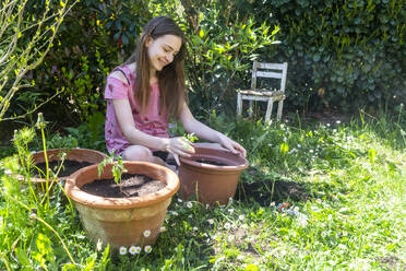 Smiling girl potting tomato plants in a garden - SARF04585