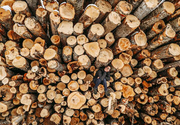 Man sits alone on stack pile of cut logs with chin on hand - CAVF81462