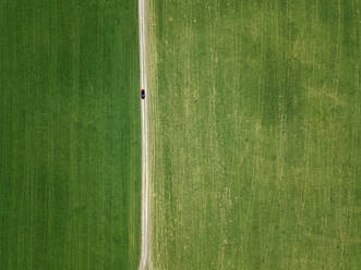 Russia, Moscow Oblast, Aerial view of car driving along countryside dirt road stretching between green fields - KNTF04624