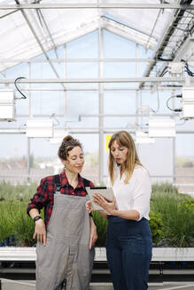 Gardener and businesswoman using tablet in greenhouse of a gardening shop - JOSEF00674