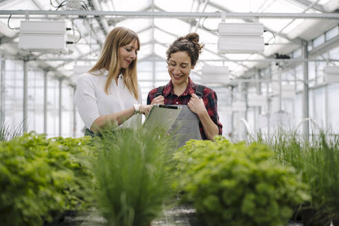 Gardener and businesswoman using tablet in greenhouse of a gardening shop - JOSEF00675