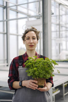 Portrait of woman holding parsley plant in greenhouse of a gardening shop - JOSEF00678