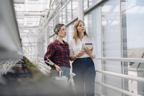 Gardener and businesswoman using tablet in greenhouse of a gardening shop - JOSEF00694